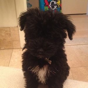 Meet your Posher, Ava